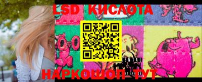 крисы Донской