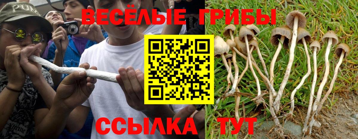 Галлюциногенные грибы ЛСД  Галлюциногенные грибы MAGIC MUSHROOMS  Вход с VPN  Чехов 